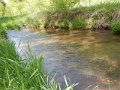 camp 05-17-13 007